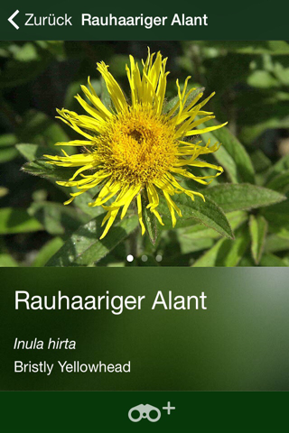 Blütenpflanzen Schweiz Blumen, Sträucher, Bäume screenshot 2
