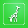 Urban Jungle Photo Editor icon