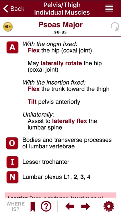 AnatomyMapp screenshot-3