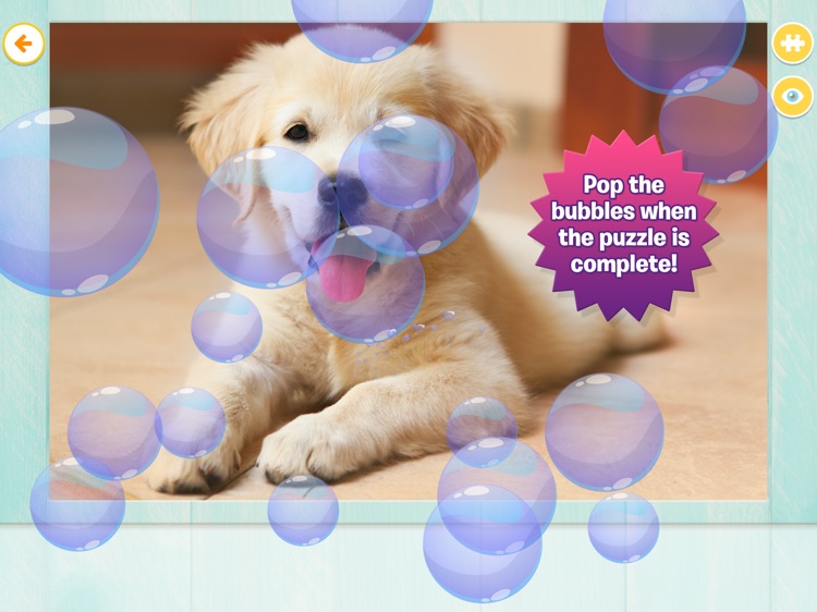 Dog & Puppy Puzzle Fun screenshot-4