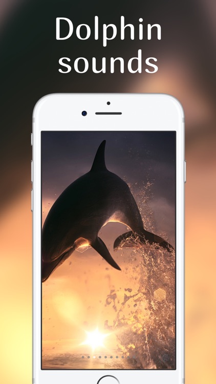 Ambient sounds to sleep better Free lullaby music