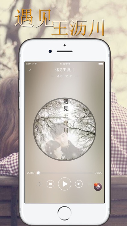 遇见王沥川 （沥川往事） 有声小说 - 施定柔著 screenshot-3