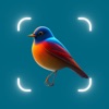 Bird Identifier, Bird Id icon