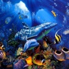 Underwater World Wallpapers