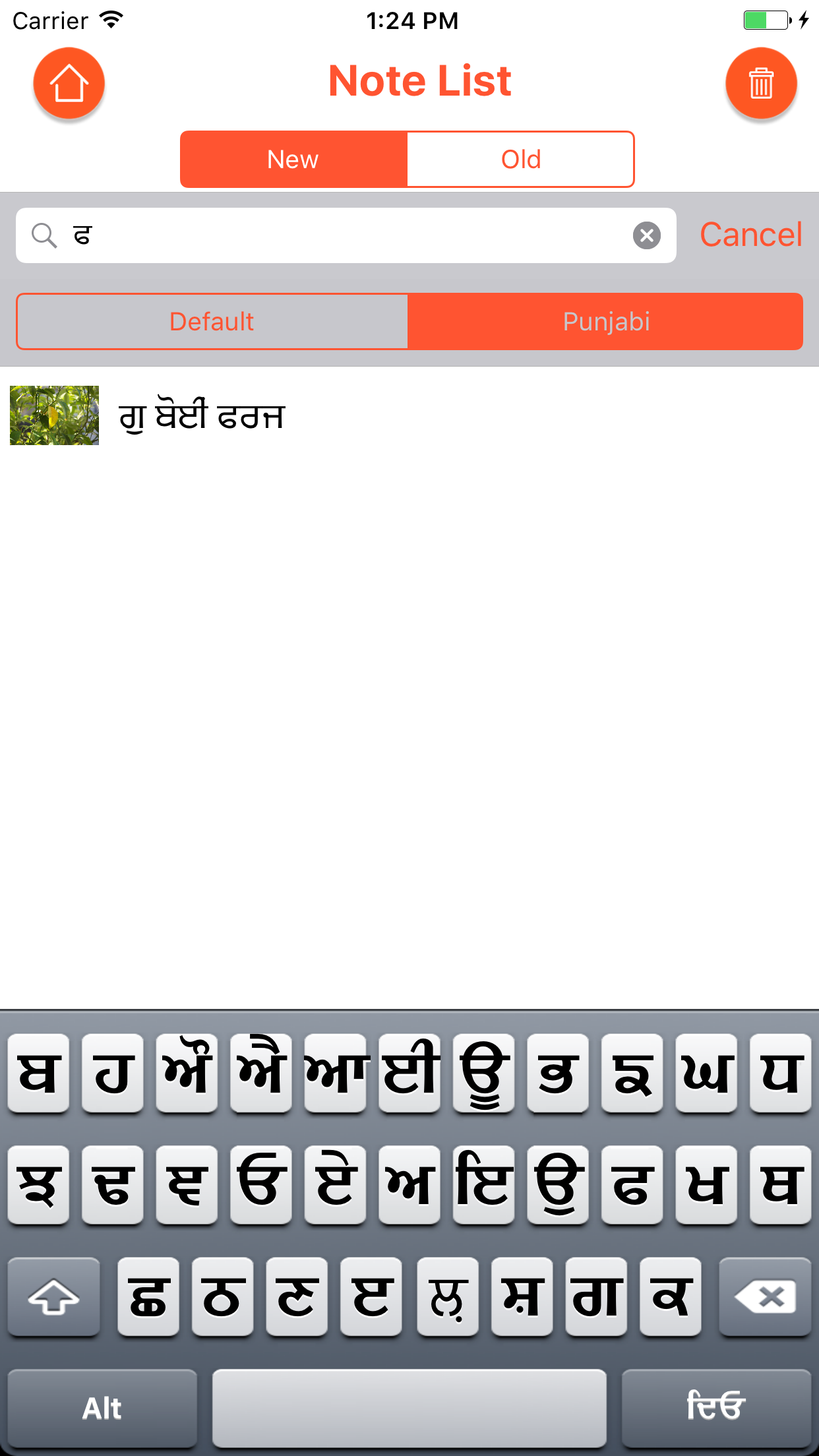 Punjabi Diary