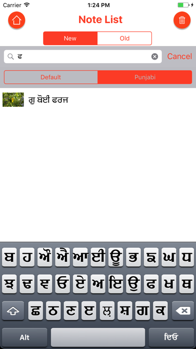 Screenshot #3 pour Punjabi Diary