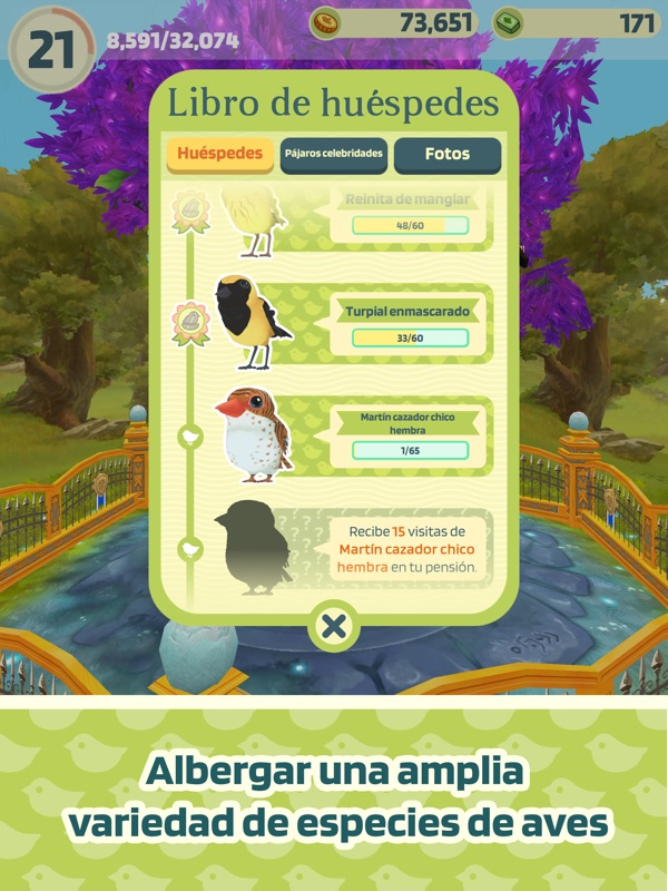 Bird Bed & Breakfast screenshot 6
