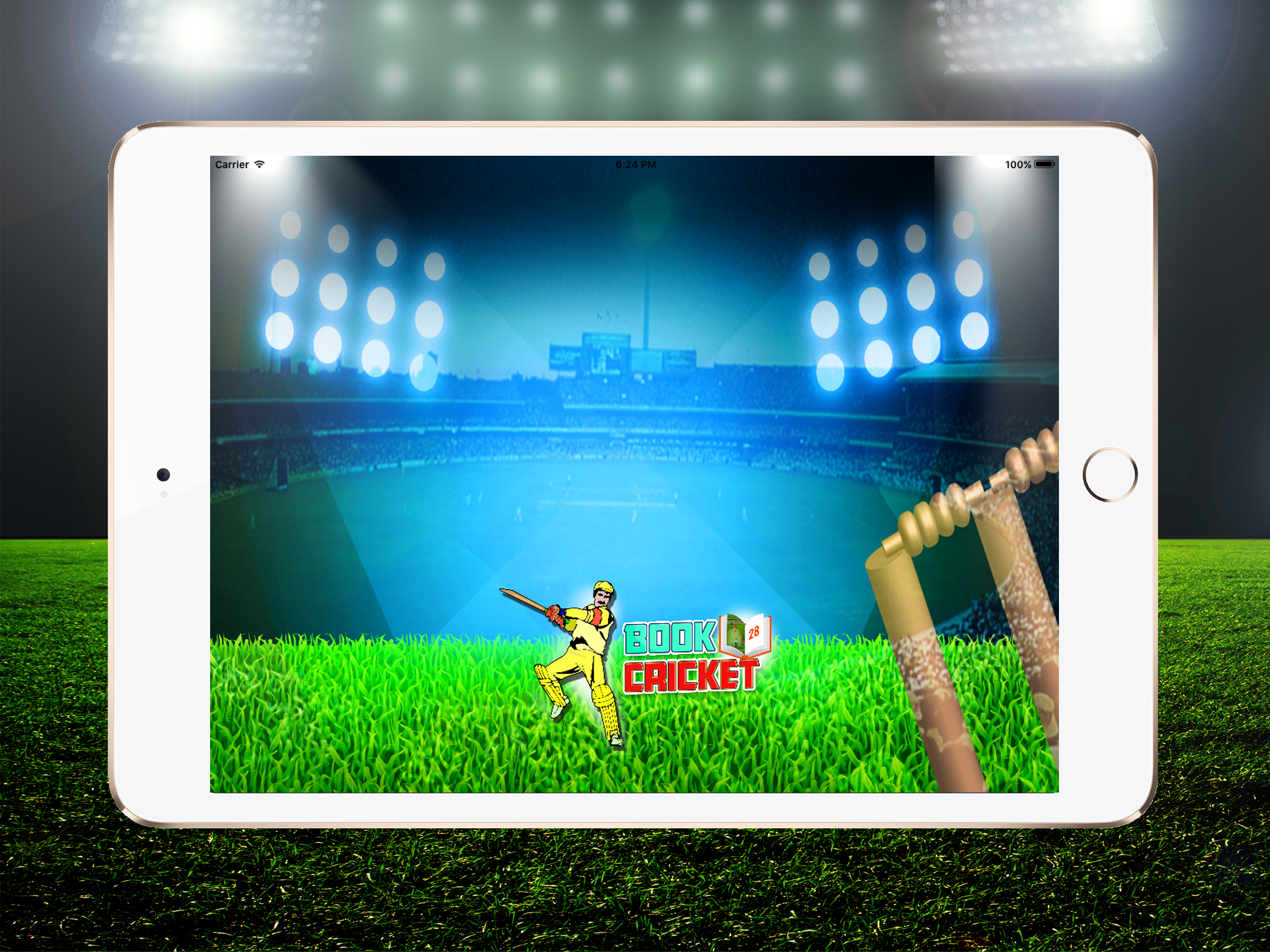 Book Cricket 2017