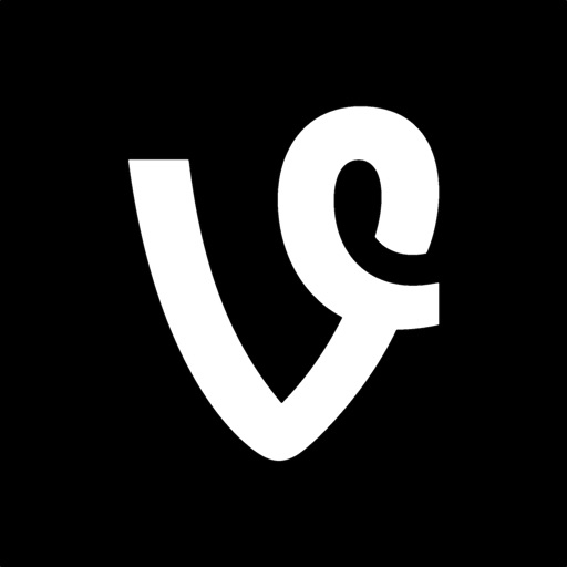 Vine Camera Icon