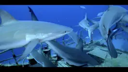 Game screenshot Wonders Of The Sea apk