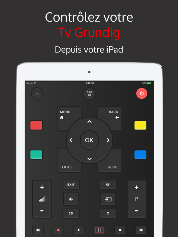 Screenshot #4 pour Grundigee