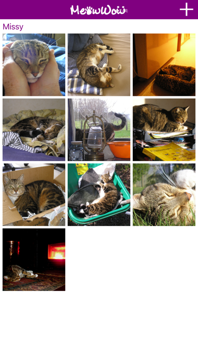 Screenshot #1 pour MeowWow