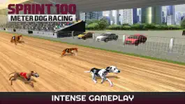 Game screenshot Sprint 100 Meter Dog Racing : Race Dogs On Tracks mod apk