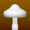 Fungi - de Bernard Simon