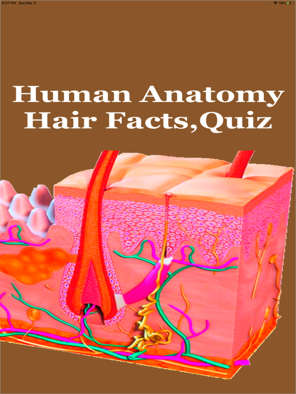 Screenshot #4 pour Human Anatomy Hair Facts,Quiz