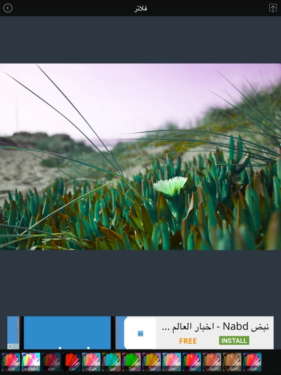 Screenshot #6 pour فلاتر للصور: إضافة تأثيرات علي الصور
