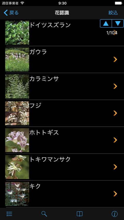 散歩で見かける四季の花 screenshot-3