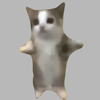 CLIPPER, N.P.O. - 猫ミーム (Cat memes) アートワーク