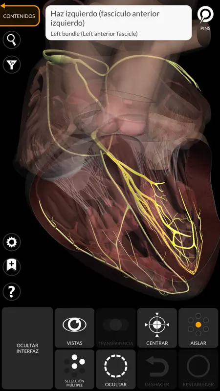 Anatomía - Atlas 3D screenshot 8 of 10