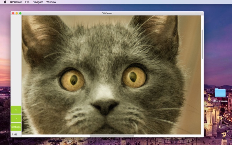 Screenshot #2 pour GifViewer