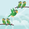 Bird Sort : Color Puzzle Games icon