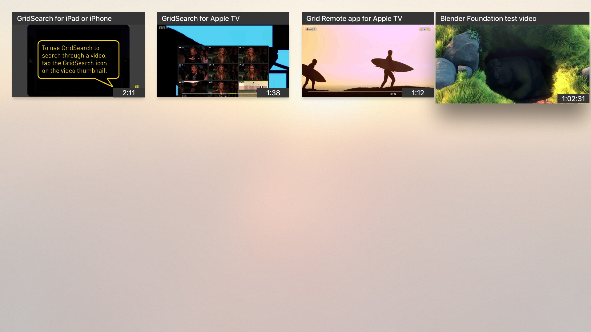 GridSearch screenshot 6