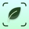 Take care of your plants with PlantAid - identify botanical diseases and cure your plants