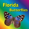 Southern Florida Butterflies icon
