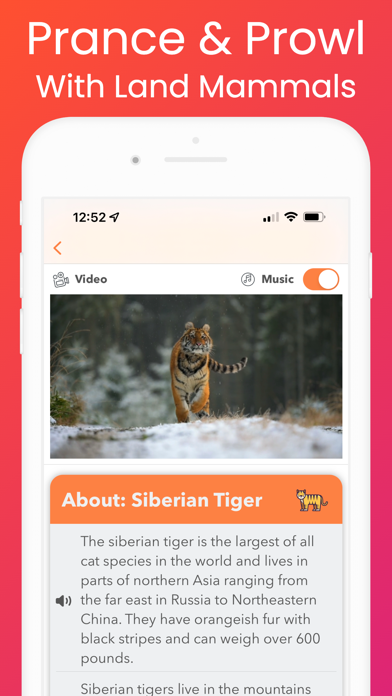 YipYap - Animal Discovery Screenshot