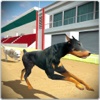 Dog Training Jump and Stunts Simulator 3D