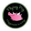 Flying Pig - WI icon