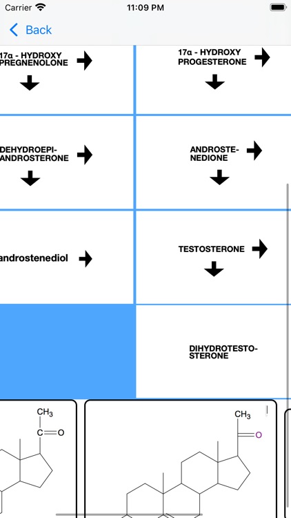Androgen Hormones Tutor screenshot-4