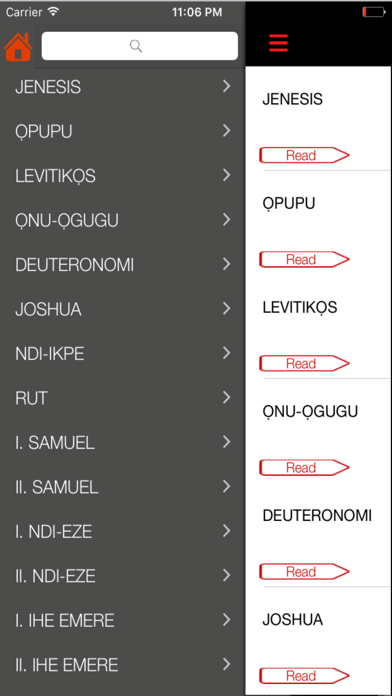 Nigeria Igbo Bible iPhone screenshot 4 - Book app