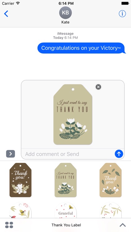 Thank You Labels Set in Minimal & Vintage Style