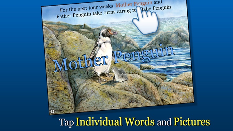 Penguin's Family - Smithsonian Oceanic Collection