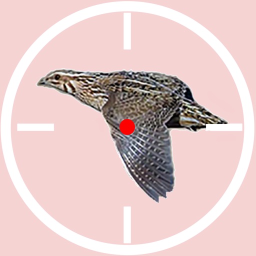 صيد الفري Quail hunt Icon