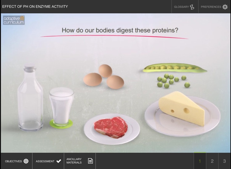 Factors Affecting Enzyme Act 2