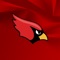Icon Farmington Cardinals Athletics