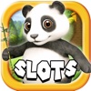 Cheeky wild panda slot machine -animal casino game