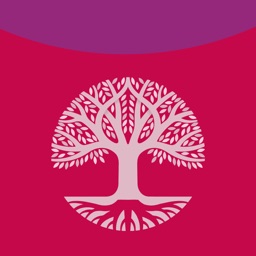 Reflections on the Psalms: Bible notes from CofE
