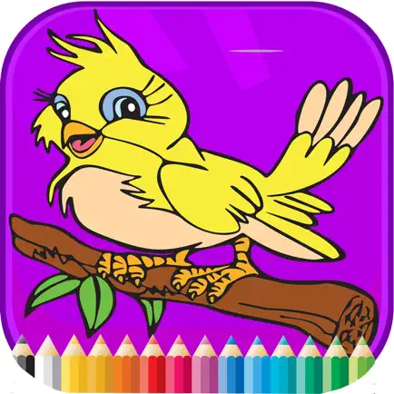 Bird Coloring Book - Activities for Kid Cheats