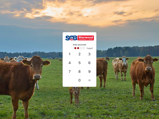 sherwoodbank iPad screenshot 2 - Finance app