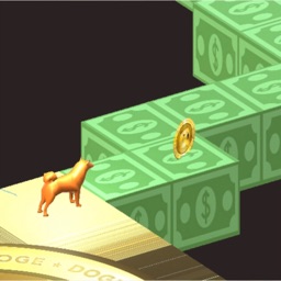 Doge Hero - zigzag dog game