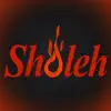 Sholeh Glasgow problems & troubleshooting and solutions