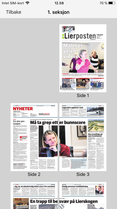 Lierposten eAvis Screenshot