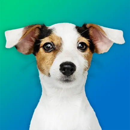 Dog Breeds Quiz: Guess the Pet Cheats