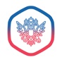 Конституция app download