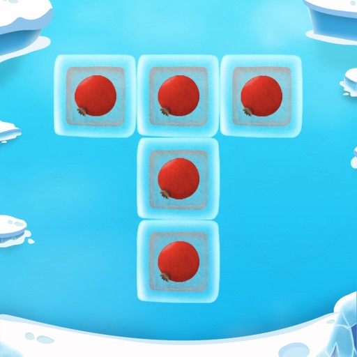 Snow Briks iOS App