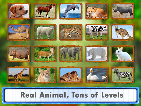 Screenshot #5 pour Animal Jigsaw Puzzles : puppy & cat puzzles