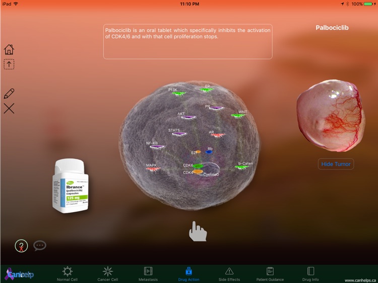 Palbociclib screenshot-3